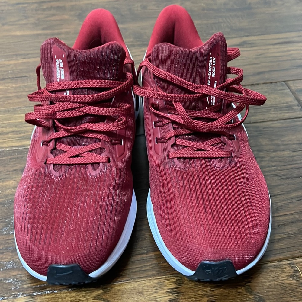 Nike Pegasus 39